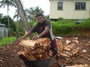Man collecting mangrove firewood for cooking